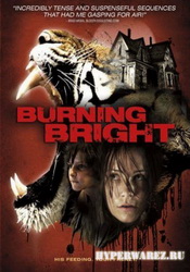 Обжигающе красивый / Burning Bright (2010) DVDRip/Eng