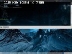 IceLinux 1.0 [i386] (1xDVD)