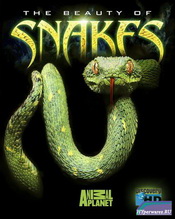 Красота змей / The Beauty Of Snakes (2006) HDTV [720p]