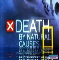 Смерть по естественным причинам  / Death by natural causes-Death on the water (2009) SATRip