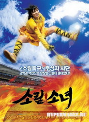 Девушка из Шаолиня / Shaolin Girl (2008/DVDRip/1400Mb)