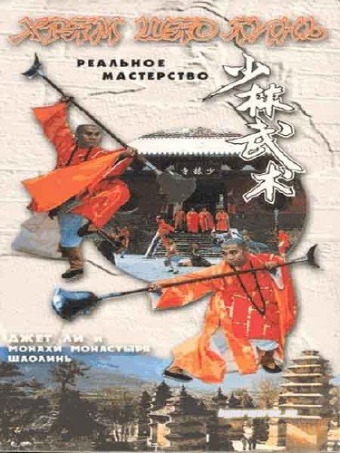 Шаолиньское реальное мастерство / Shao Lin zhen gong fu (1995) VHSRip